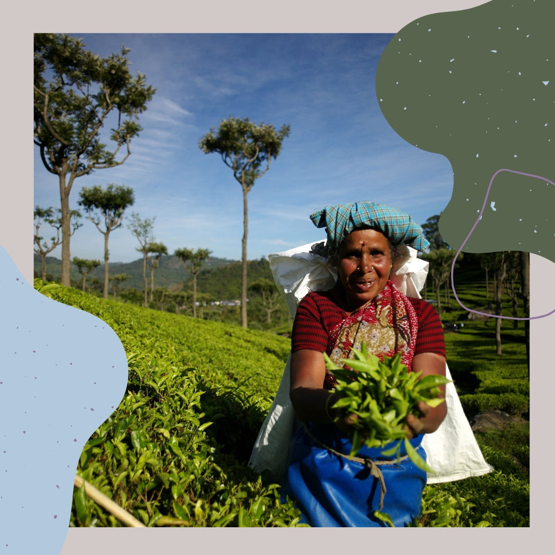 Providing Certification Certainty: What You Need To Know About Sustainability Certifications